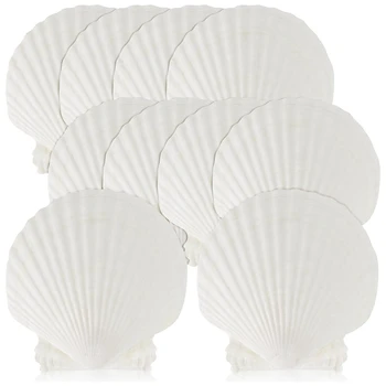 15 KS Přírodní Sea Shell Velké Bílé, 4-4.7 Palcový Vroubkování Mušle Pro DIY Řemesla, Servírování pokrmů, Pečení A Další Snadné Použití
