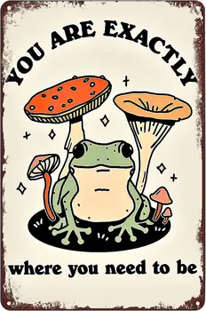 Vintage Kovové Známky - Roztomilý Žába Hub Plakát Přesně Tam, Kde Potřebujete Být Tin Znamení, Legrační Zvířat Wall Art Dekor Plaku