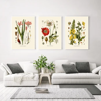 Vinobraní Botanické Tisky Francouzské Ilustrace Rostlin Plakáty Květinové Plátno Obraz Antické Umění Zdi Obrázky Kuchyně Domova